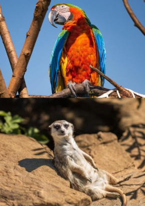 FAUNAPARK Lipová-lázně Lipova Lazne